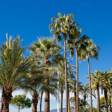 Luxury 2 Bedrooms On La Croisette! * Cannes